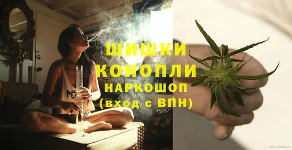 бошки Алексин