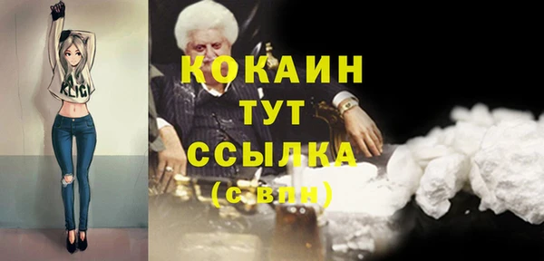 ГАЛЛЮЦИНОГЕННЫЕ ГРИБЫ Аркадак