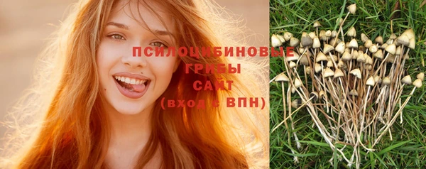 mix Арсеньев